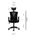 4.webp