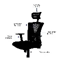 5.webp